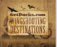 Getducks .com Wingshooting Destinations